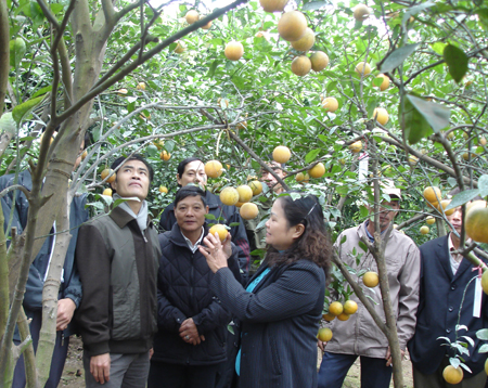 Hưng Yên Ứng dụng công nghệ bảo quản nông sản sau thu hoạch
